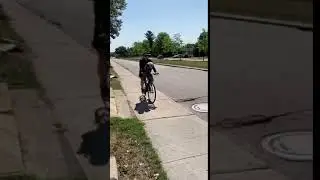 Louis the Westie out for a Ride!