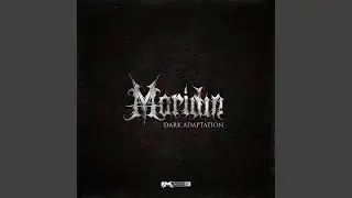 Dark Adaptation (Original Mix)