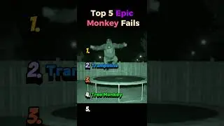 Top 5 Epic Monkey Fails Ever