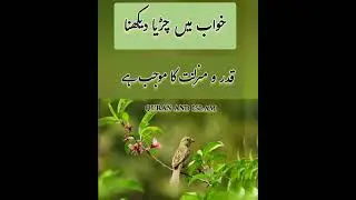 seeing a sparrow in a dream#چڑیا پکڑنا/خواب میں چڑیا دیکھنا#charia dekhna/ pakrna#catching a sparrow