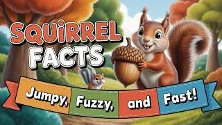 Why Do Squirrels Hide Their Food? | Squirrel Facts for Kids