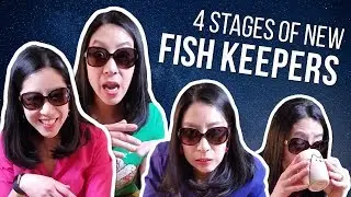 4 Stages of New Fish Keepers