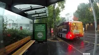 4K | Rain walk  | Auckland Weather  | Deserted Street | I walk for you
