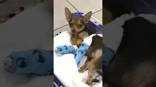 She Was Given Up When She Needed Help Most What Happened Next Changed Her Life