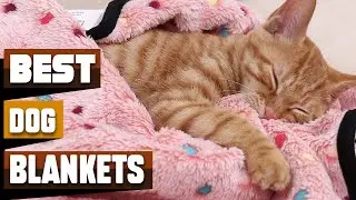 Best Dog Blankets In 2025 - Top 10 Dog Blankets Review