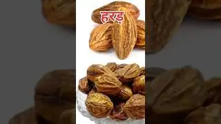 Facts About Harad | #facts #harad