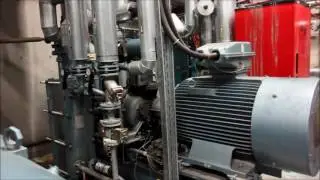 Grasso/GEA - Used Cool-/Freeze Pump Installation - Comron International