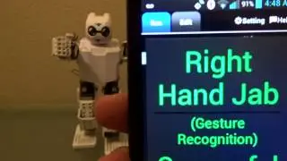 Hand Gestures