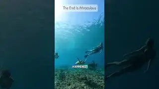 Saving Sea Turtle life was Miraculous  #animal #ocean