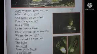 Glow worms 2nd std english poem