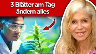 Brennnessel: Die m&auml;chtigste Heilpflanze? (DAS wei&szlig; niemand)
