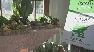 SCAD launches 'SCAD SERVES Community Fund'