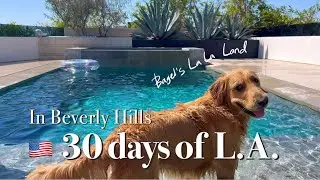 🌴MY DOG lives in Beverly Hills modern pool MANSION for 30 Days | LA travel l Malibu l Disneyland