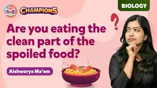 What will happen if We Eat the Clean Part of Spoiled Food | Why Do We Eat Should not Spoiled Food