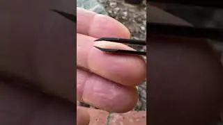 Best tweezers for removing splinters 😎 #civiviknives #outdoors #edcgear