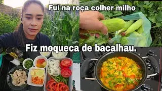 Fiz moqueca de bacalhau, fui na roça colher milho.