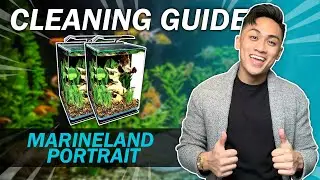 How to CLEAN & WATER CHANGE Betta Fish Tanks