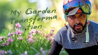 &ldquo;Inside Switzerland&rsquo;s $3.8 Billion Garden Industry | My Garden&rsquo;s Stunning Transformation!&rdquo;
