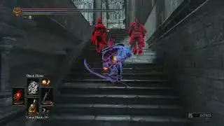 Cool invade with brandythedog