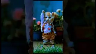Catdance✅ #shorts #ytshorts #cat #trending #viralvideo #funny #like  #@sanchitmalav-backup #love