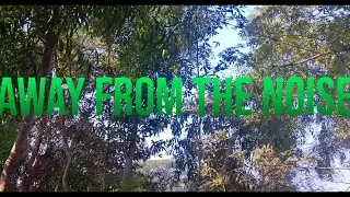 AWAY FROM THE NOISE l MICRO SHORT FILM DIRECTED BY MANOSIJ MUKHERJEE 