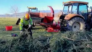 Fabrication de broyats d'&eacute;pic&eacute;a pour l'aire paill&eacute;e des vaches