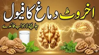 Akhrot Khane Ke Fayde | Amazing Health Benefits of Walnuts | Walnuts Benefits in Urdu/Hindi