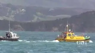 Water rescue in Otago harbour
