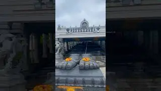 Swarnagiritemple #acoolteacher #swarnagiritemple #birthdayvibes #yshorts