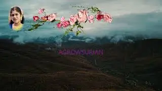 Podhumo intha🕊️போதுமோ இந்த 🕊️tamil karaoke  for male singers resung by😍VANISRIDASAN😍