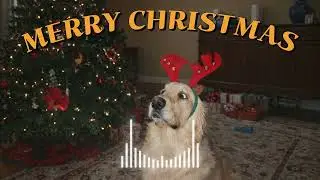 𝐏𝐥𝐚𝐲𝐥𝐢𝐬𝐭 크리스마스 땐 그냥 이거 틀어. | 1950's 크리스마스 재즈, 가사, christmas jazz