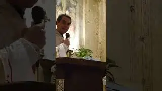 Omelia Santa Elisabetta di Ungheria 2025