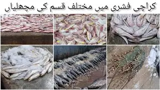 Karachi Fishri Market | Diffrent Fish | Big Fish Market | Shark | Pakistan | Moiz Jawed Vlog