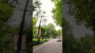 Scenic drive through #kerala #india 💚🌿☘️🌴 #villages #ScenicDrive