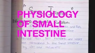 SMALL INTESTINE PHYSIOLOGY | MOTOR AND SECRETORY ACTIVITY | (Segmental and propulsive movement)