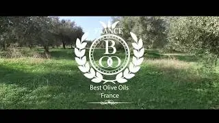 Best France Olive Oils