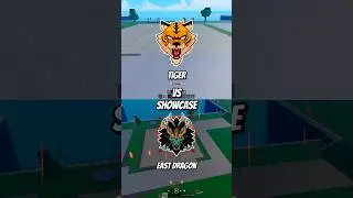 Tiger vs Dragon #dispecs #roblox #bloxfruits #bloxfruit