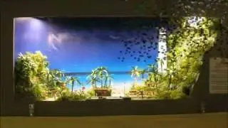 opening Jairuba ( Blue Bay Beach Rail )