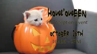 Susquehanna SPCA Free Adoption Event!