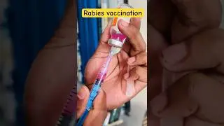 rabies vaccination || rabies vaccine || #rabies #dog #rabiesvaccine