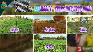 Farming Simulator 23 - All 14 (+1 Hidden Crop) Crops Explained with screenshots - FS 23 Android iOS