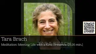 Embrace Stillness: Discover the Transformative Power of Meditation #podcast #20Minutes