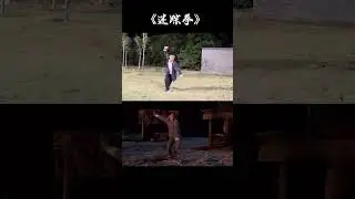 Lost Track Fist #kungfu #chineseculture
