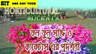 Winter flower show-The agri-horticultural society alipur kolkata I