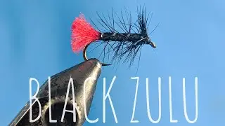 Black Zulu - Mouche sèche pour la truite
