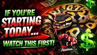 If You’re Starting Ball Python Breeding in 2026… Watch This FIRST