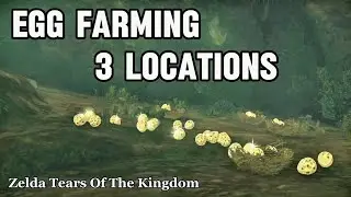 Farming Eggs in Zelda Tears Of The Kingdom - Totk Egg Farm