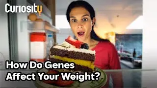 Why Most Diets Fail, According to Science | Bright Now