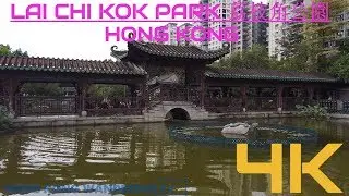4K LAI CHI KOK PARK HONG KONG | 荔枝角公園