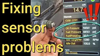 K24 crx fixing oil and fuel sensors on haltech
